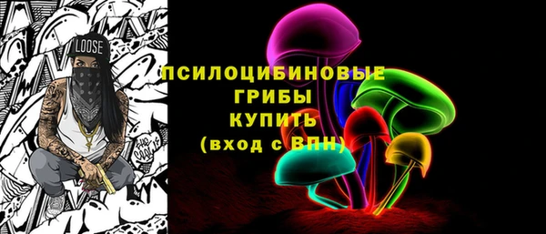 2c-b Богородицк