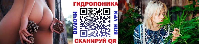 Конопля ГИДРОПОН Великие Луки