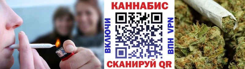 Бошки Шишки планчик  Великие Луки 